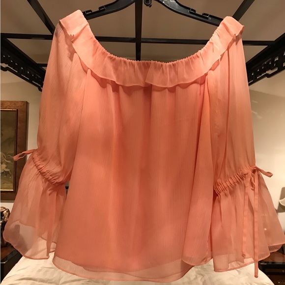 Halston Romantic style sheer lined ruffled blouse - Picture 1 of 3